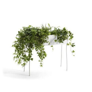 Green Pedestals (Pflanzenhalter)